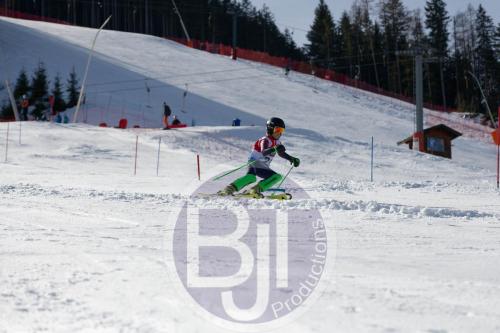 BJT 9036 DxO