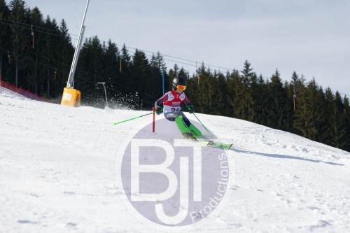 BJT 9037 DxO