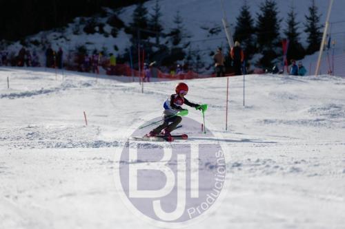BJT 9042 DxO