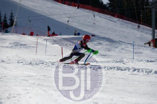 BJT 9044 DxO