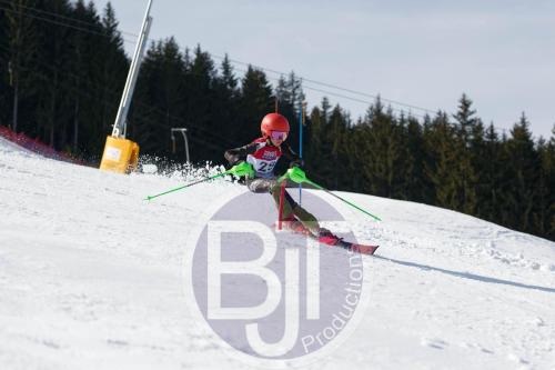 BJT 9047 DxO