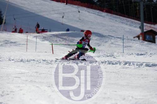 BJT 9054 DxO