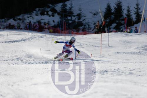 BJT 9060 DxO