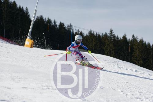 BJT 9066 DxO