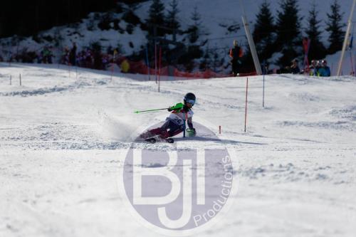 BJT 9071 DxO