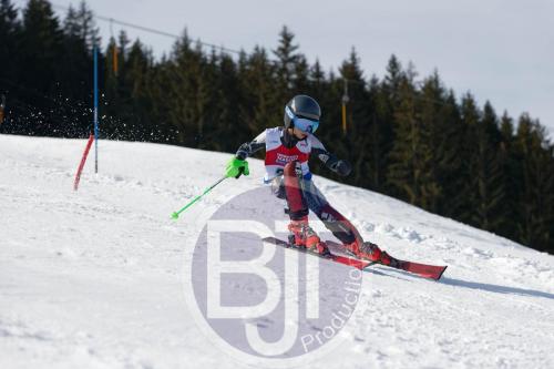 BJT 9075 DxO