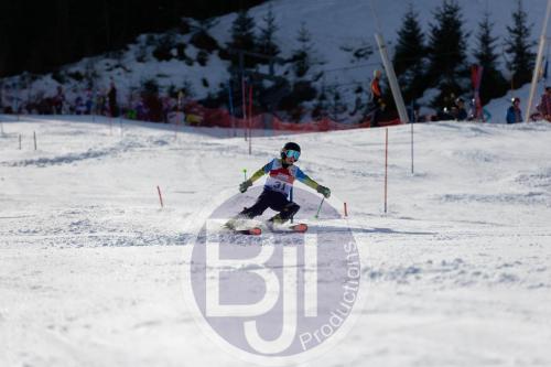 BJT 9080 DxO
