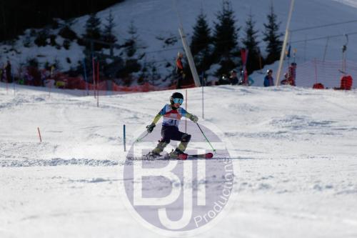 BJT 9082 DxO