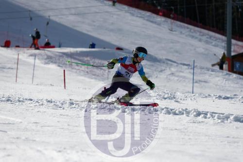 BJT 9085 DxO