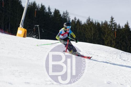 BJT 9086 DxO