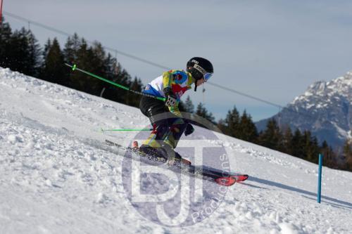 BJT 9088 DxO