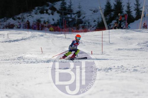 BJT 9093 DxO