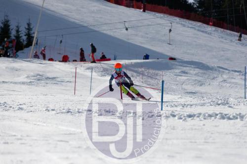 BJT 9094 DxO