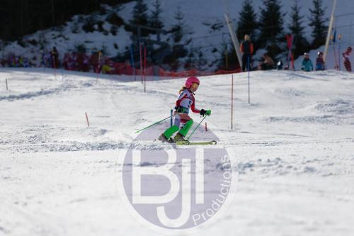 BJT 9106 DxO