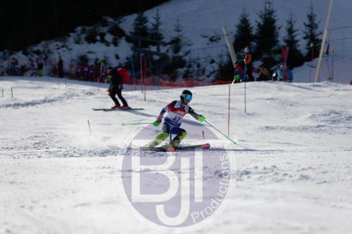 BJT 9120 DxO