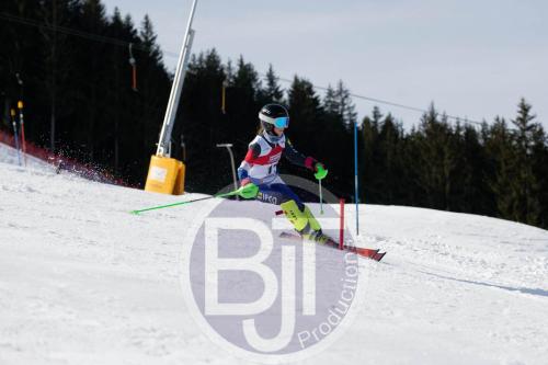 BJT 9122 DxO
