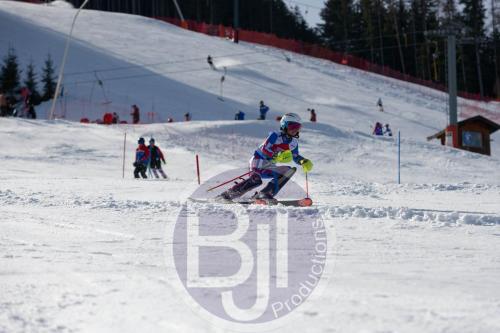 BJT 9129 DxO
