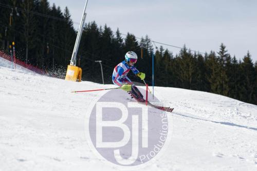 BJT 9130 DxO