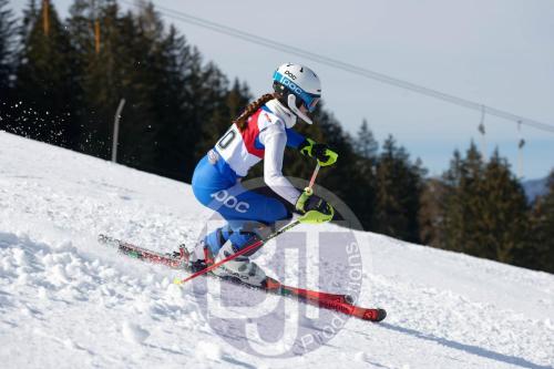 BJT 9176 DxO