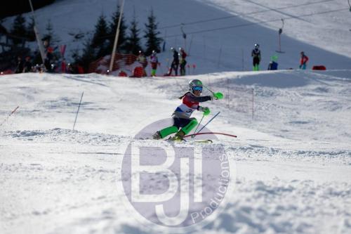 BJT 9181 DxO
