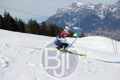 BJT 9185 DxO