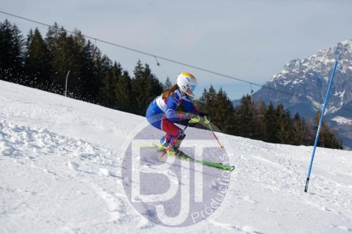 BJT 9201 DxO