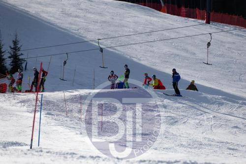 BJT 9217 DxO