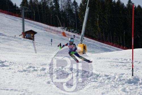 BJT 9218 DxO