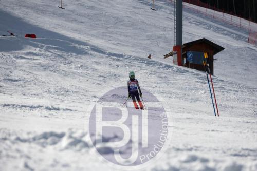 BJT 9285 DxO