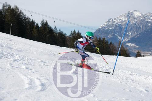 BJT 9500 DxO