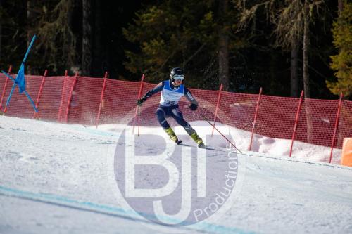 BJT10007 DxO