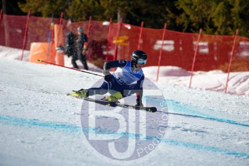 BJT10008 DxO