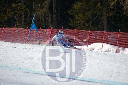 BJT10010 DxO