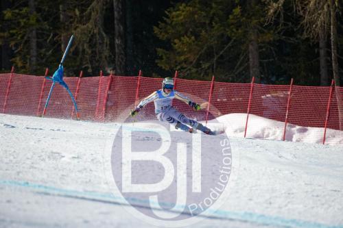 BJT10011 DxO