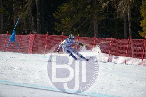 BJT10012 DxO