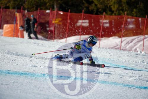 BJT10013 DxO