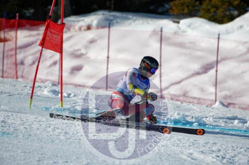 BJT10017 DxO