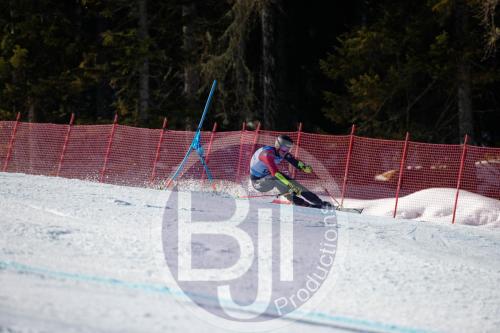 BJT10019 DxO