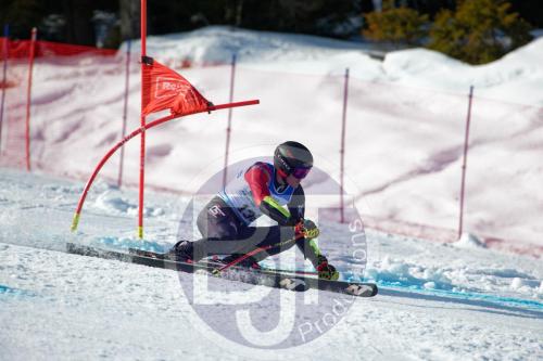 BJT10023 DxO