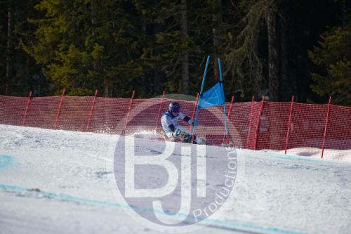 BJT10029 DxO