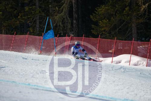 BJT10031 DxO