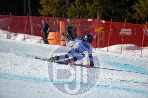 BJT10032 DxO
