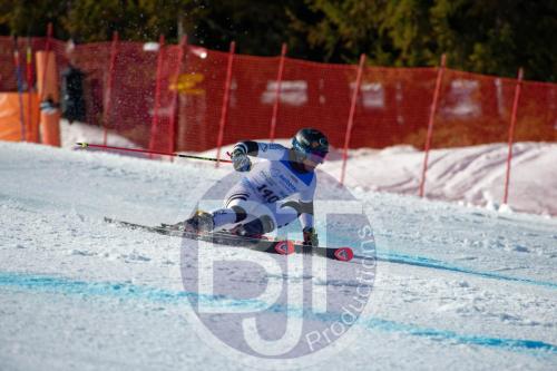 BJT10033 DxO