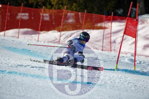 BJT10034 DxO
