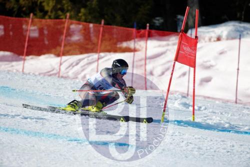 BJT10039 DxO