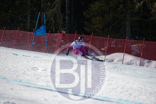 BJT10046 DxO