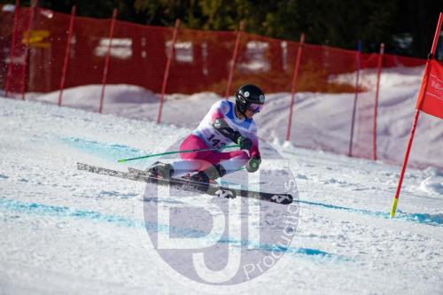 BJT10049 DxO