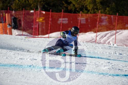 BJT10062 DxO