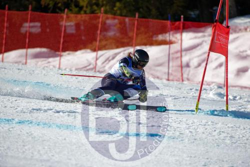 BJT10063 DxO