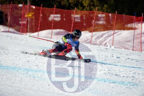 BJT10071 DxO